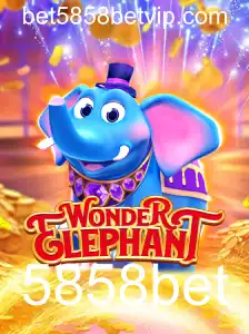 Explorando o Maravilhoso Mundo de WonderElephant