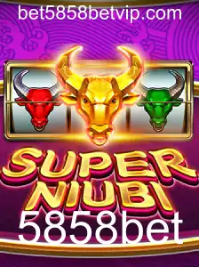 SuperNiubi: Desvendando o Jogo e Suas Regras com Foco Atual